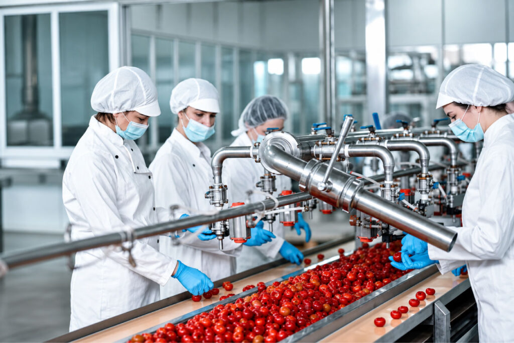Ligne de transformation de tomates dans une usine agroalimentaire, assurance industrie agroalimentaire